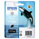 Original - Epson T7609 (C13T76094010)